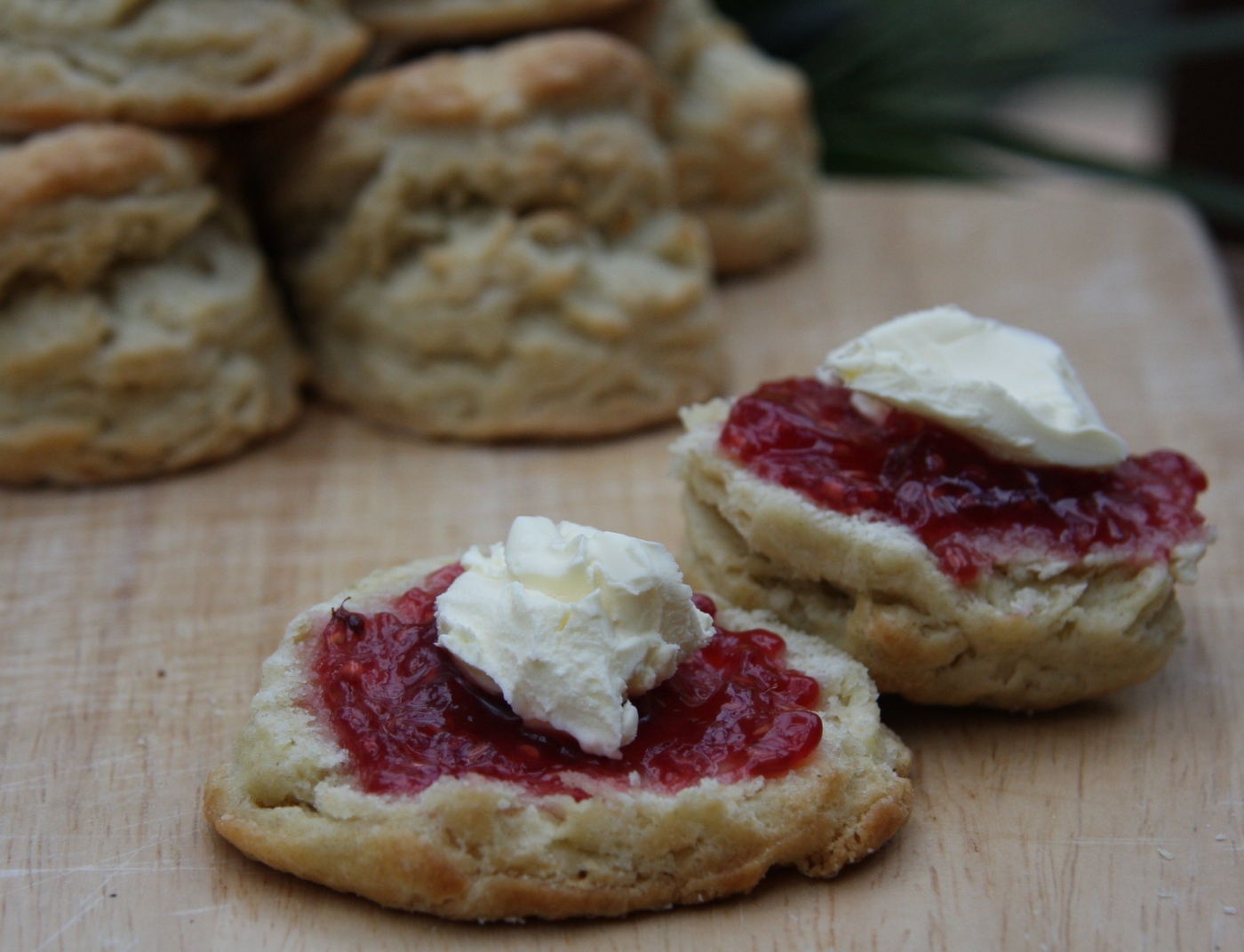 A Traditional Cream Tea – scones, strawberry jam and clotted cream ...