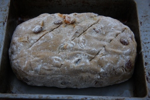fruit bread dough
